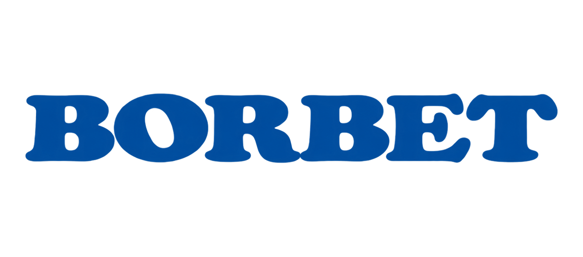 18" Borbet N vinterhjul til VW ID.3 EJ OE 20" – fælgmærke